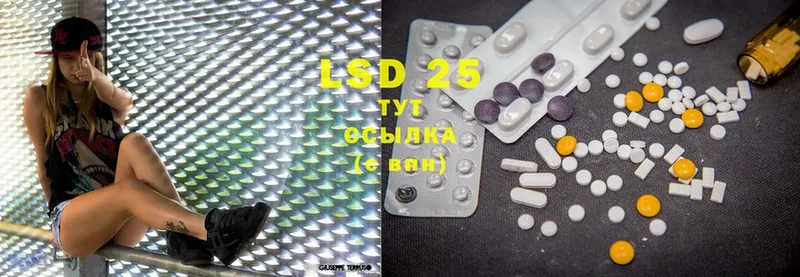 Все наркотики Малая Вишера Галлюциногенные грибы  LSD-25  Метадон  Гашиш  Мефедрон  Канабис 